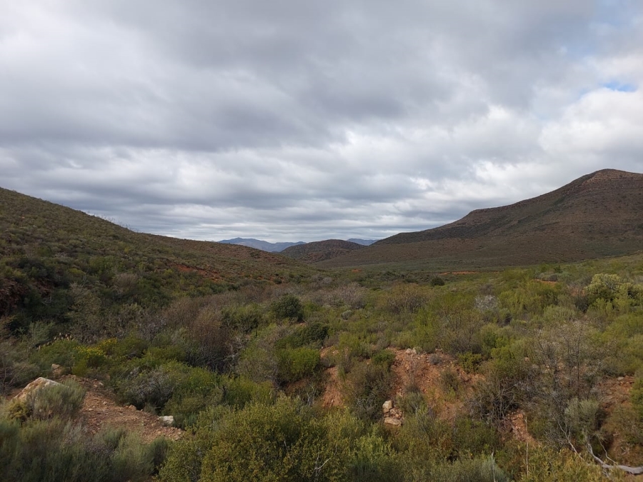 7 Bedroom Property for Sale in Ladismith Rural Western Cape
